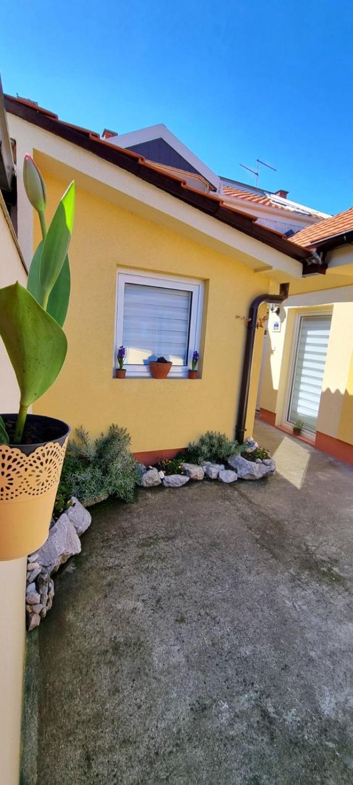 "My Life" Luxury River Apartments Ni Exteriör bild